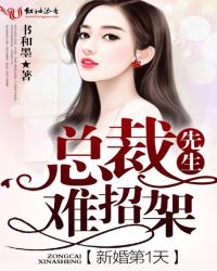 新婚第1天，总裁先生难招架