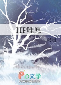 [哈利波特同人] HP唯愿